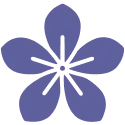Icono de Diseño Exclusivo